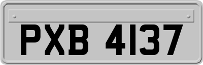 PXB4137