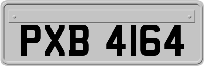 PXB4164