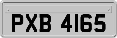 PXB4165