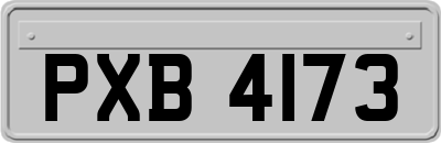 PXB4173