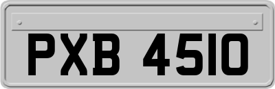 PXB4510