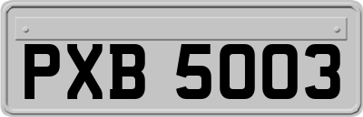 PXB5003