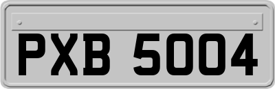 PXB5004