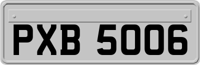 PXB5006