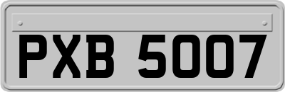 PXB5007