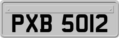 PXB5012