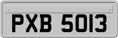 PXB5013