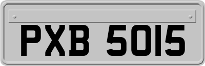 PXB5015