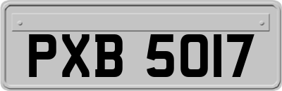 PXB5017