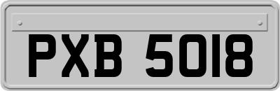 PXB5018