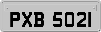 PXB5021