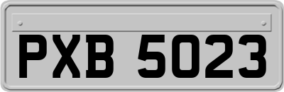 PXB5023