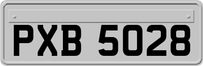 PXB5028