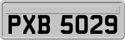 PXB5029