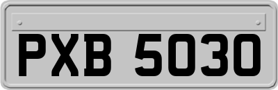 PXB5030