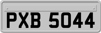 PXB5044