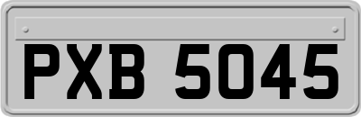 PXB5045