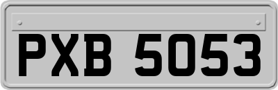 PXB5053