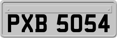 PXB5054