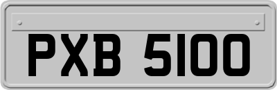 PXB5100