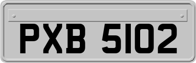 PXB5102