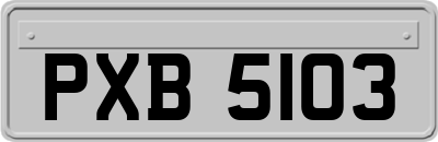 PXB5103