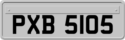 PXB5105