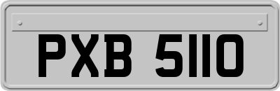 PXB5110