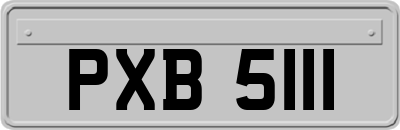 PXB5111