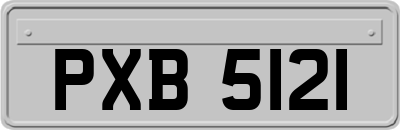 PXB5121