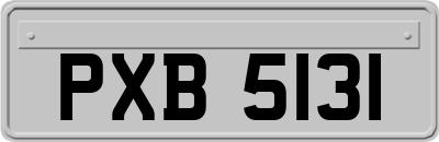 PXB5131