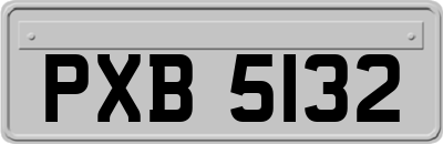 PXB5132