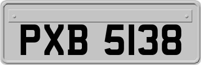 PXB5138