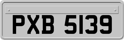 PXB5139