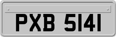 PXB5141