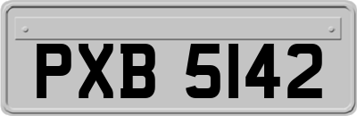 PXB5142