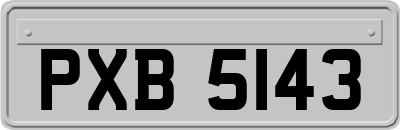 PXB5143