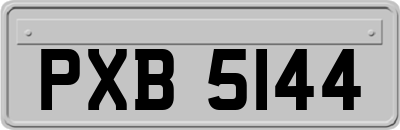 PXB5144