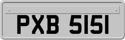 PXB5151