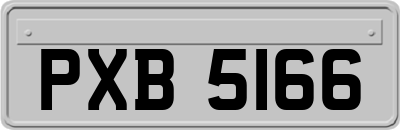 PXB5166