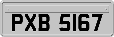 PXB5167