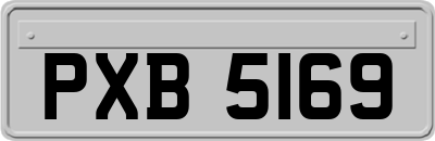 PXB5169