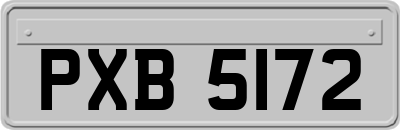 PXB5172