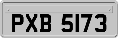 PXB5173