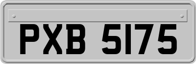 PXB5175