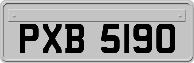 PXB5190