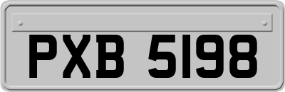 PXB5198