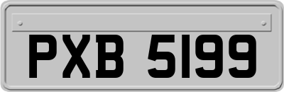 PXB5199