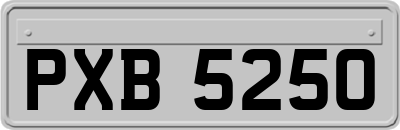 PXB5250