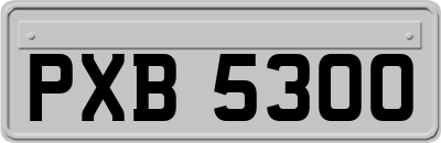 PXB5300